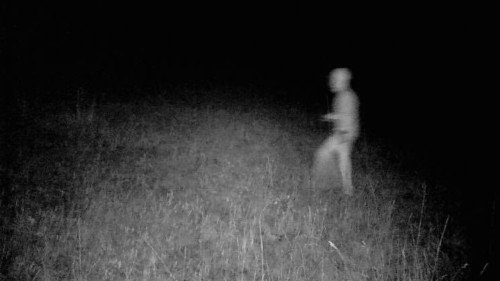 "Exploring the Unexplained: Paranormal Activity and Physical Sensations in Fields"