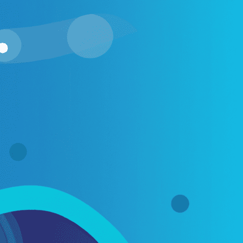 What to Look for in French Translation Services for Literary Works